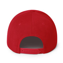 Load image into Gallery viewer, Snapback Hat
